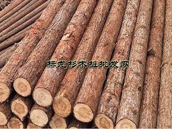 松木桩多少钱一根（便宜松木桩批发必看）