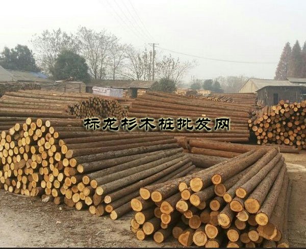 分享几个杉木桩防腐处理的经验