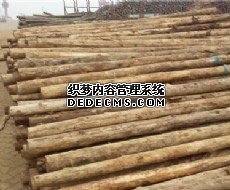 房屋杉木桩软基处理办法