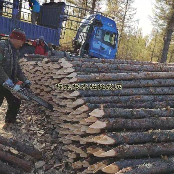 南通杉木桩规格及批发价