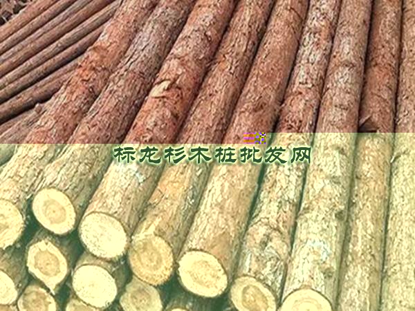 批发杉木桩注意事项及选