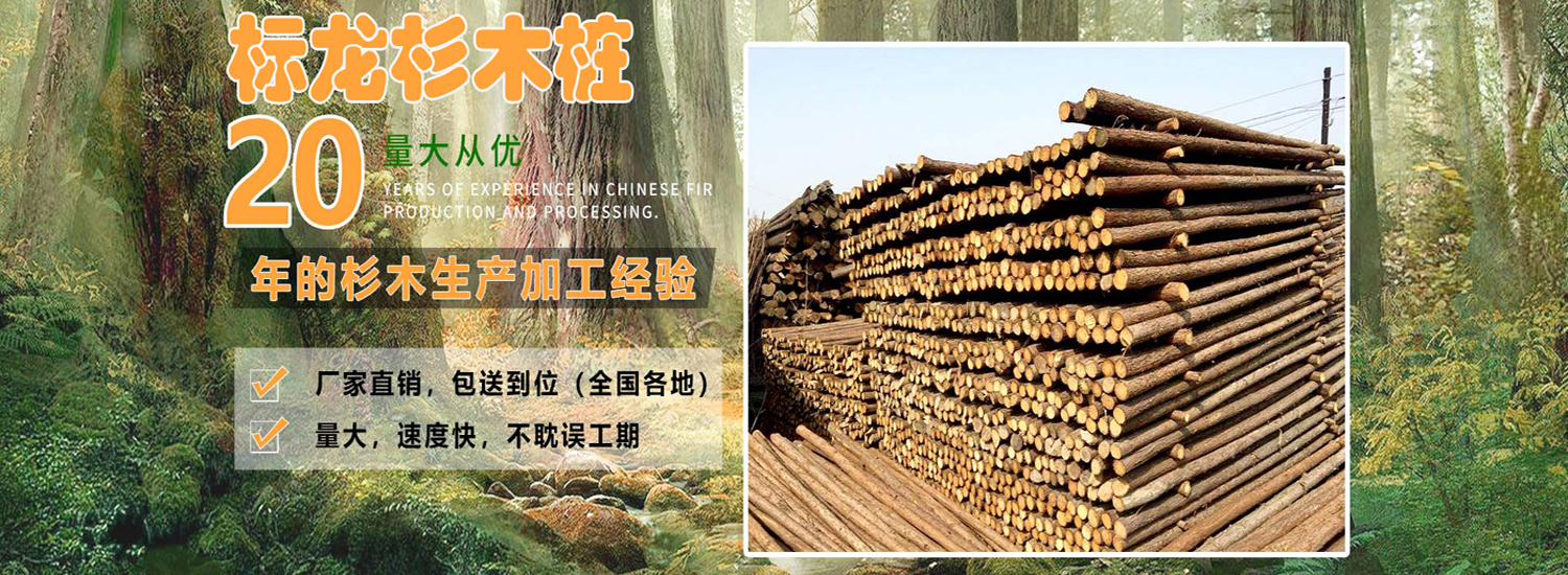 杉木桩在软弱地基怎么施工？（杉木桩施工方案