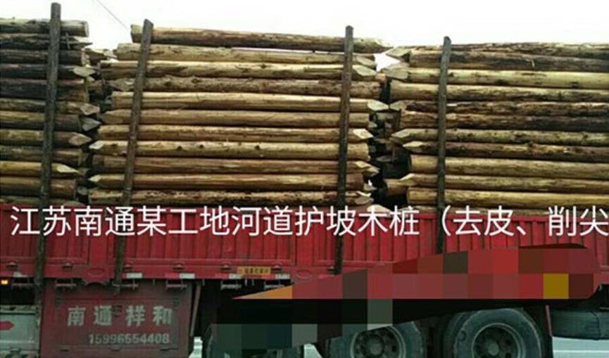 <b>南通市政杉木桩施工工程案例展示</b>
