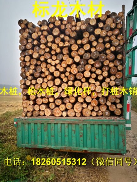 张家港绿化松木桩2米大头