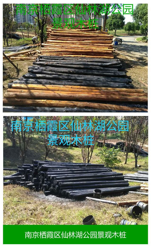 南京杉木桩