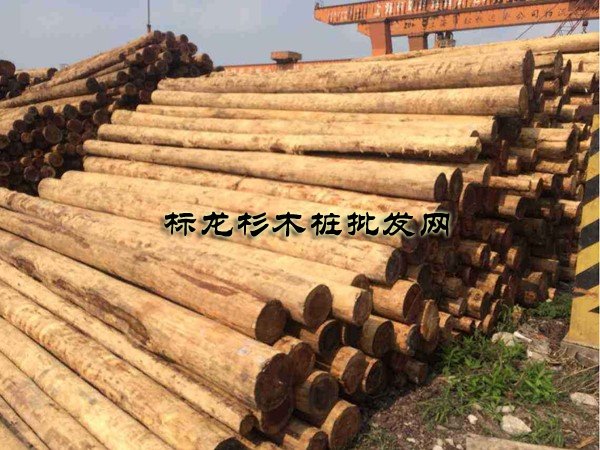 芜湖杉木桩公司