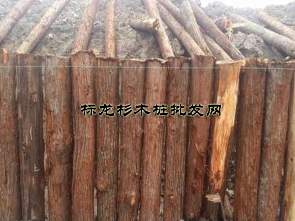 杉木桩使用方法