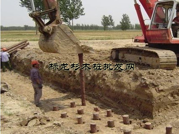 杉木桩厂家