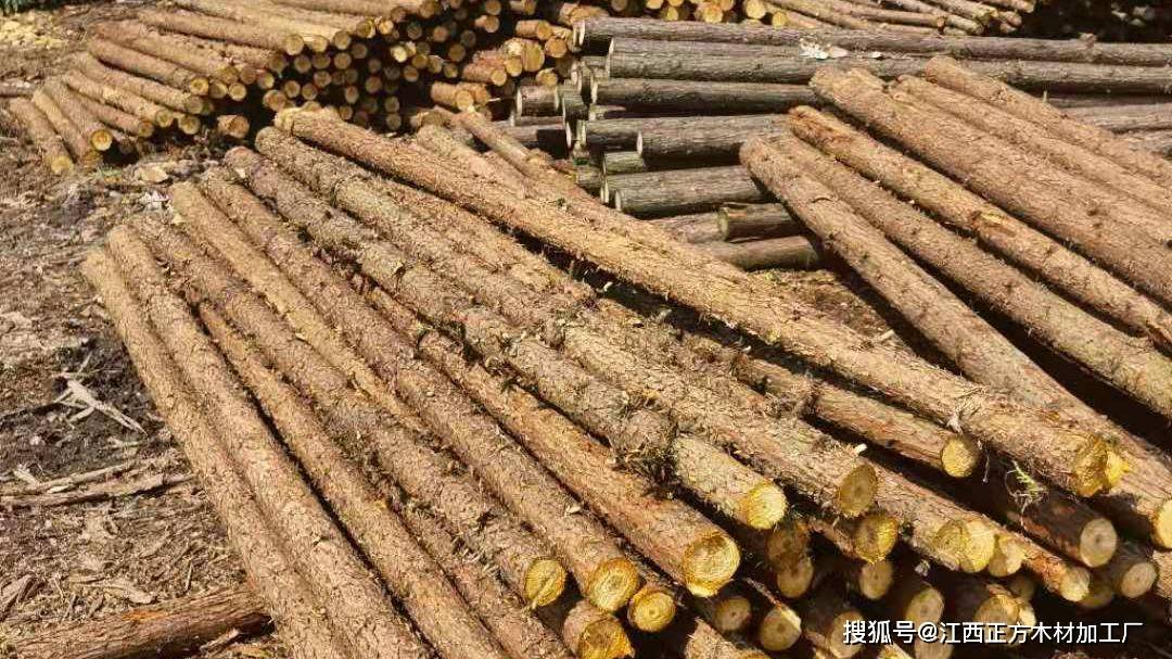 新沂Φ14松木桩长度方量对照表